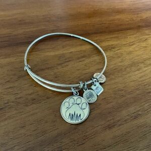 Alex and Ani bracelet